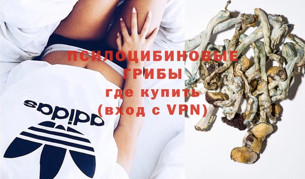 гашик Белокуриха