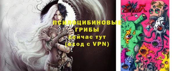 гашик Белокуриха