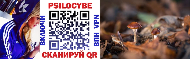Псилоцибиновые грибы Psilocybe  блэк спрут ТОР  Валуйки 